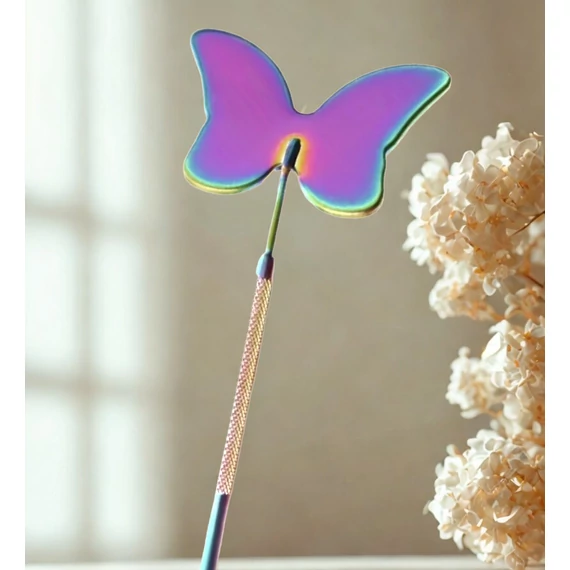 Butterfly Mirror – Rainbow Edition